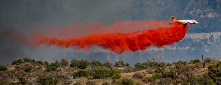Plane drops fire suppressant on a forest.