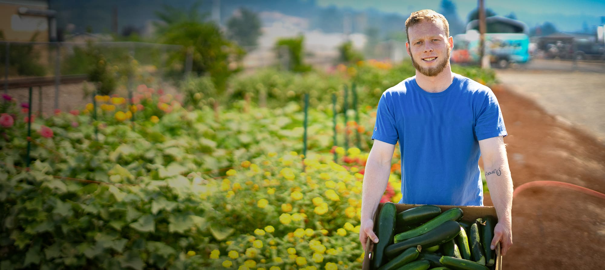 Resident Harvesting Vegetables